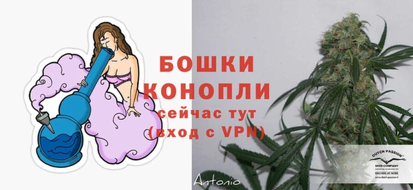 амф Корсаков
