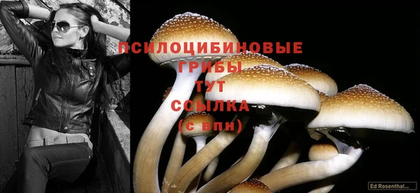 амф Корсаков