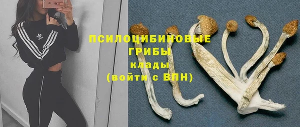 соль курить ск Костерёво